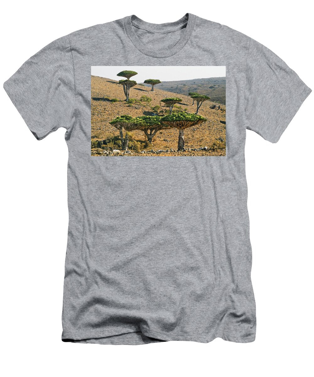 Dragon Blood Trees Yemen Marco Pavan T-Shirt