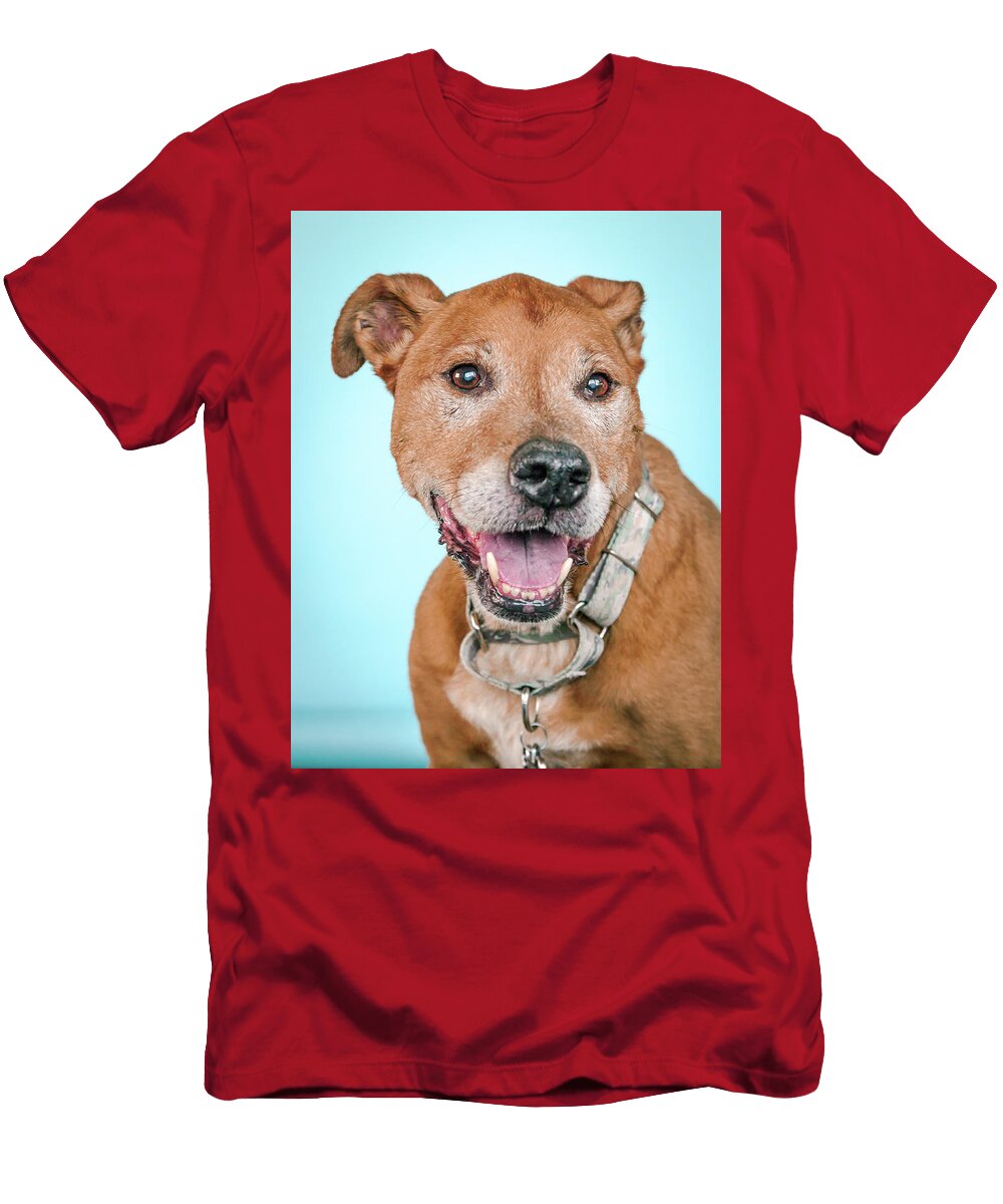 Scooter Pit Bull Headshots T-Shirt